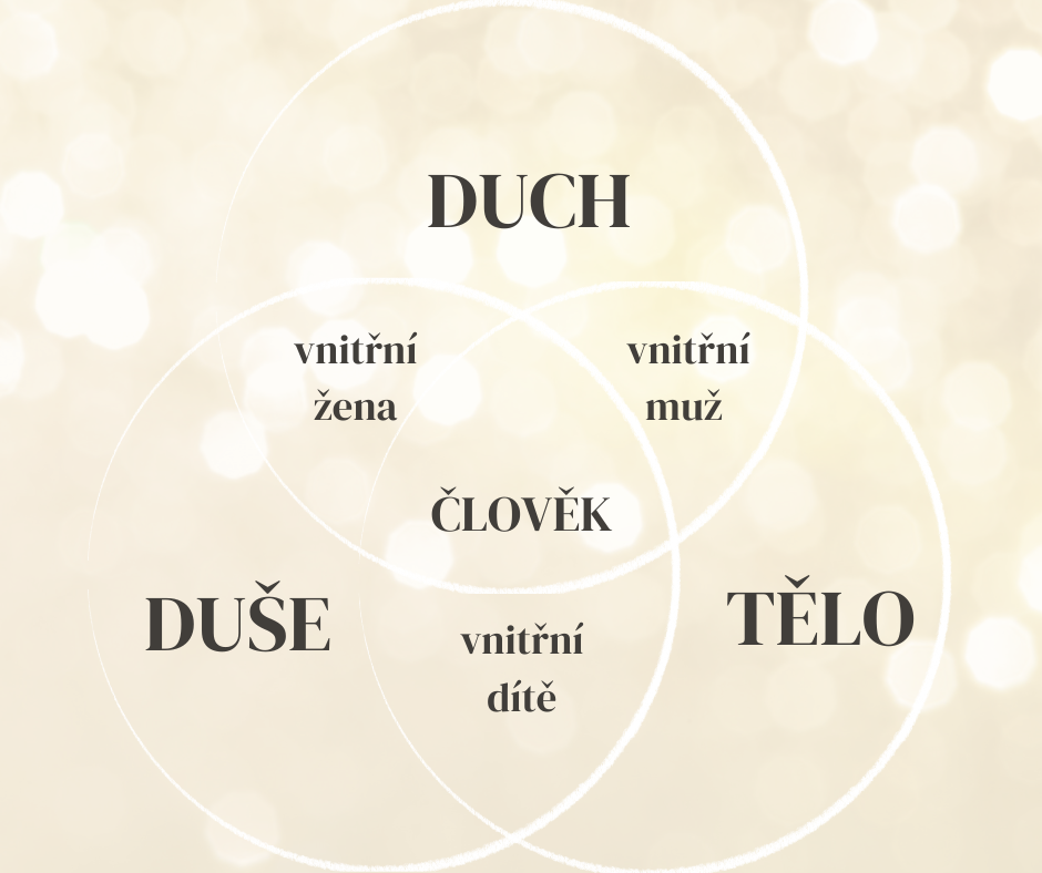 vnitŘnÍ rodina (2)